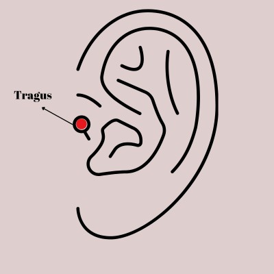 316L Çelik Gümüş Renk Mor Kelebek Model Tragus Piercing