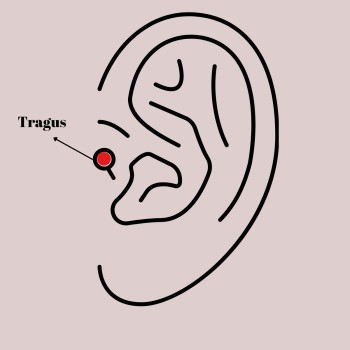 316L Çelik Gümüş Renk Pembe Mineli Kalp Zirkon Taş Detaylı Taç Tragus Piercing