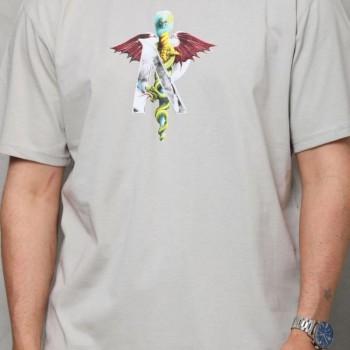 Erkek Baskılı T-Shirt Kısa Kol Bisiklet Yaka Regular Fit Rahat Kalıp Tişört -  Gri