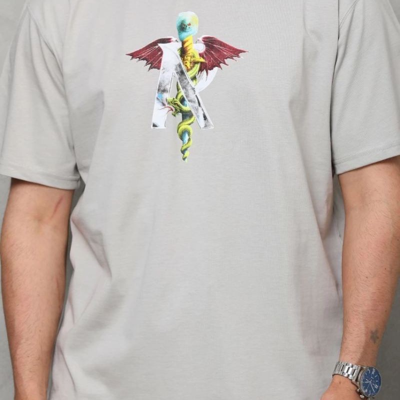 Erkek Baskılı T-Shirt Kısa Kol Bisiklet Yaka Regular Fit Rahat Kalıp Tişört -  Gri