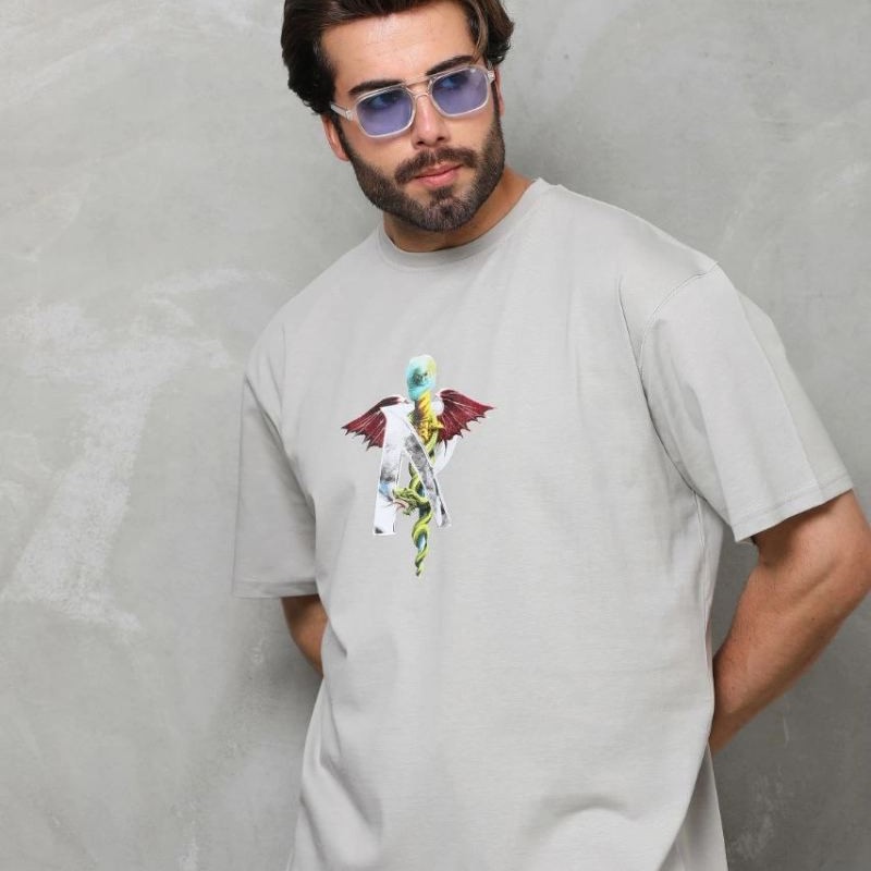 Erkek Baskılı T-Shirt Kısa Kol Bisiklet Yaka Regular Fit Rahat Kalıp Tişört -  Gri