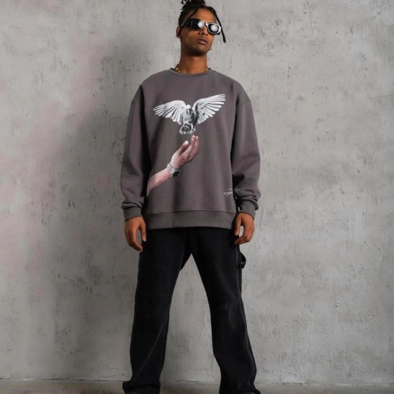 Erkek Güvercin Baskılı 3 iplik pamuklu Bisiklet Yaka Sweatshirt - Gri