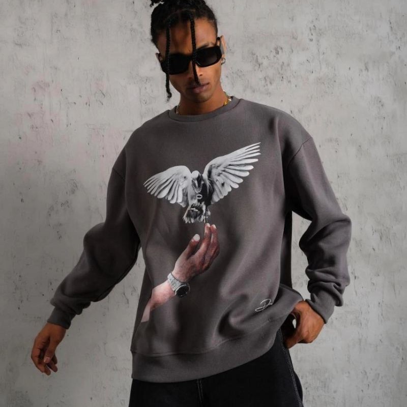 Erkek Güvercin Baskılı 3 iplik pamuklu Bisiklet Yaka Sweatshirt - Gri