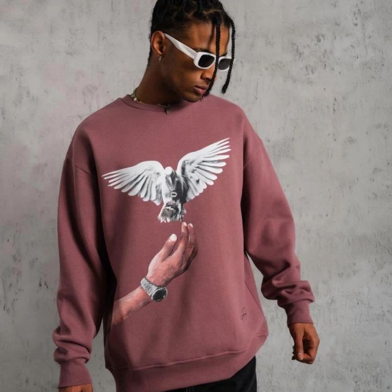 Erkek Güvercin Baskılı Bisiklet Yaka Sweatshirt 3 iplik pamuklu - Gül Kurusu