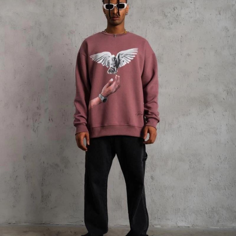 Erkek Güvercin Baskılı Bisiklet Yaka Sweatshirt 3 iplik pamuklu - Gül Kurusu