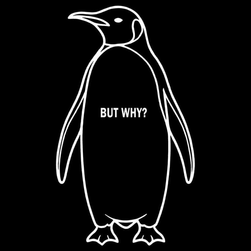 Erkek Nihilist Penguen Baskılı 3 İplik Pamuklu Kapüşonlu Sweatshirt Hoodie Siyah
