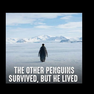 Kadın 3 İplik Pamuklu Kapüşonlu Hoodie Sweatshirt Survivor Penguen Baskılı - Beyaz