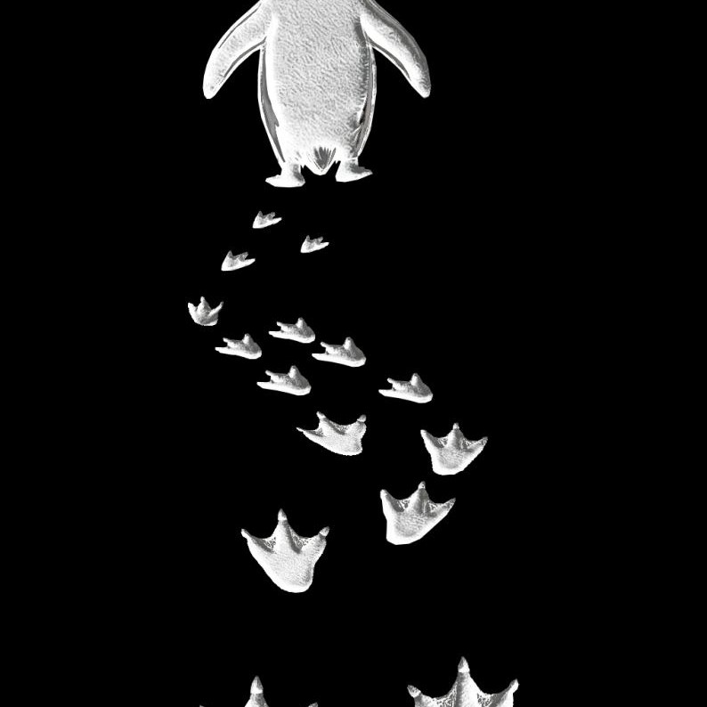 Kadın T-Shirt Penguen Baskılı Bisiklet Yaka Kısa kol yazlık Tişört - Siyah