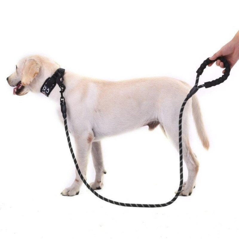 Reflektörlü Köpek Tasması 130 Cm.